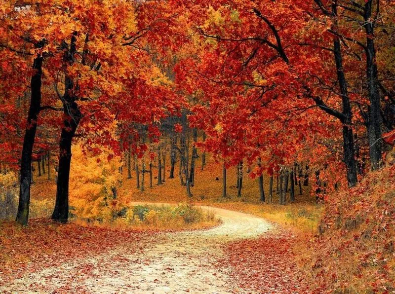 Jak najłatwiej dotrzeć na osiedle Złotej Jesieni w Krakowie?