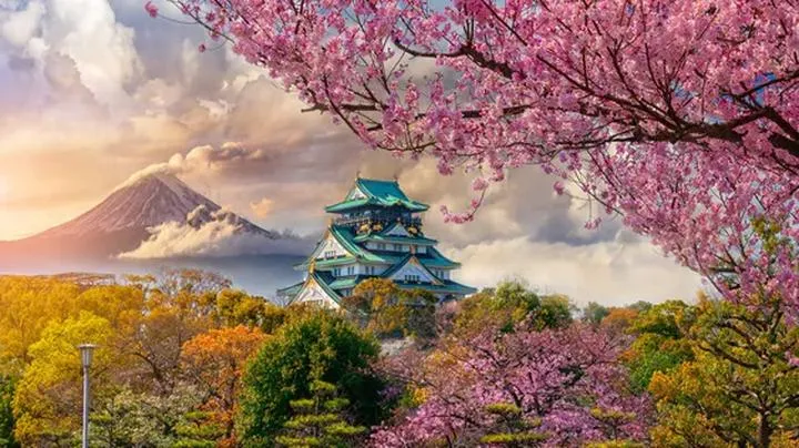 Kiedy lepiej zrezygnować z podróży do Japonii?