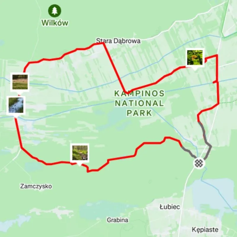 Przewodnik po podróży: jak dojechać do Kampinosu autobusem?