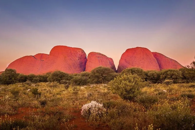 Turystyka jako kluczowy element rozwoju gospodarki Australii