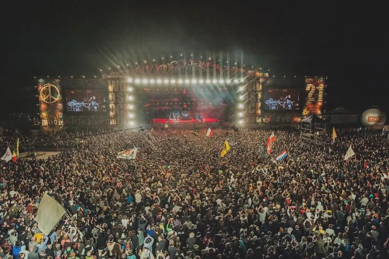 Bezpieczeństwo na festiwalu