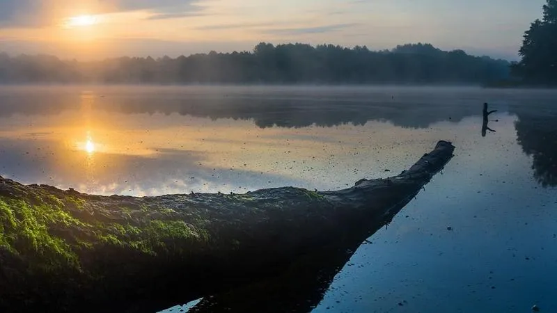 Bezpośrednie loty Polska Francja