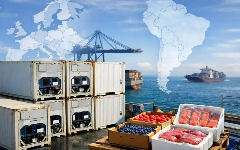 Dokumenty do przewozu żywności samolotem