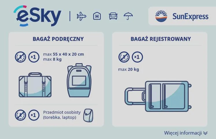 Dokupowanie bagażu rejestrowanego