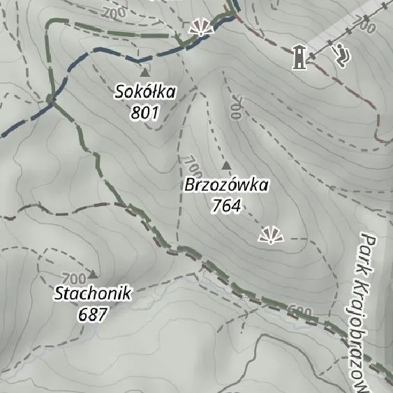 Dzikowiec Wielki