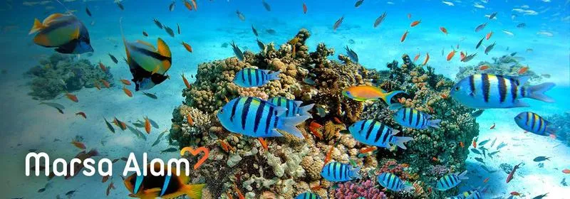 Marsa Alam klimat
