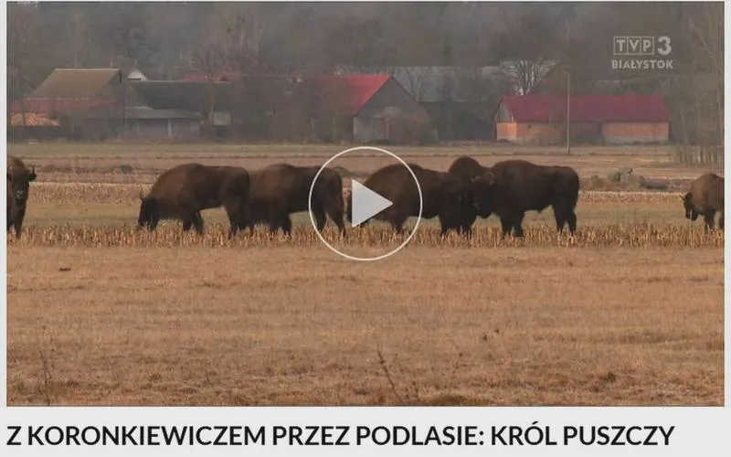Nowe atrakcje turystyczne