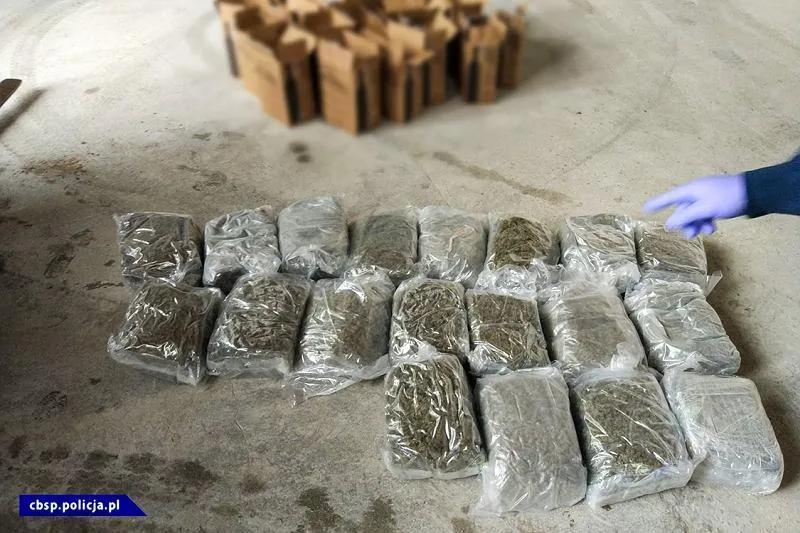 Przewóz medycznej marihuany