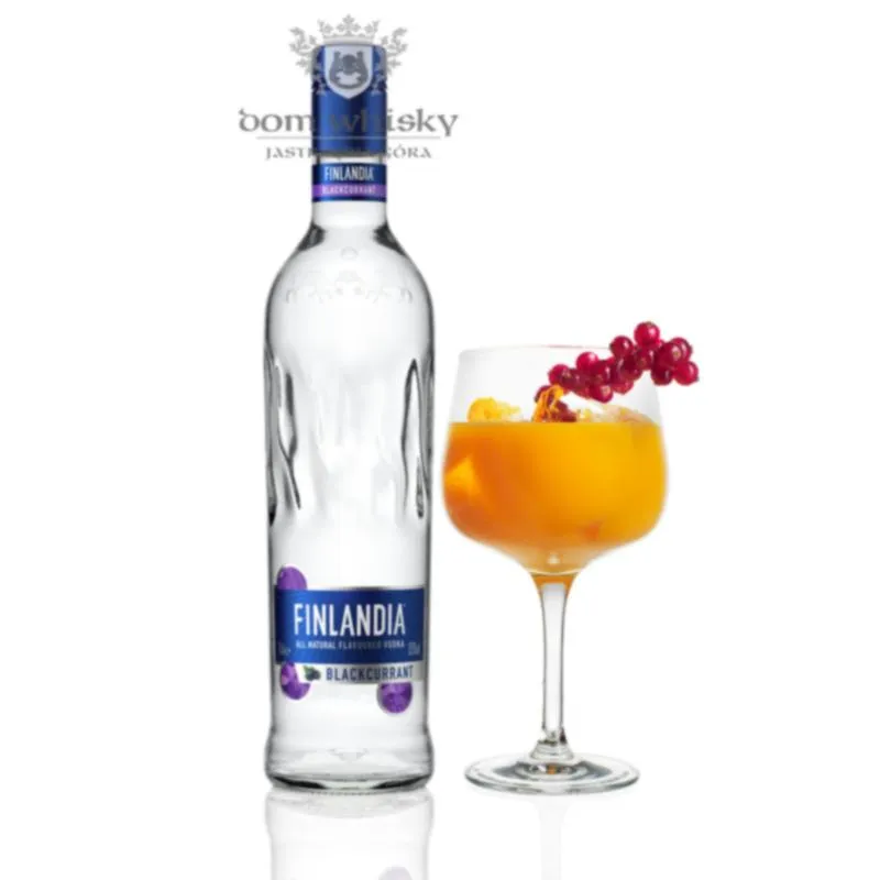 Przygotowanie do lotu